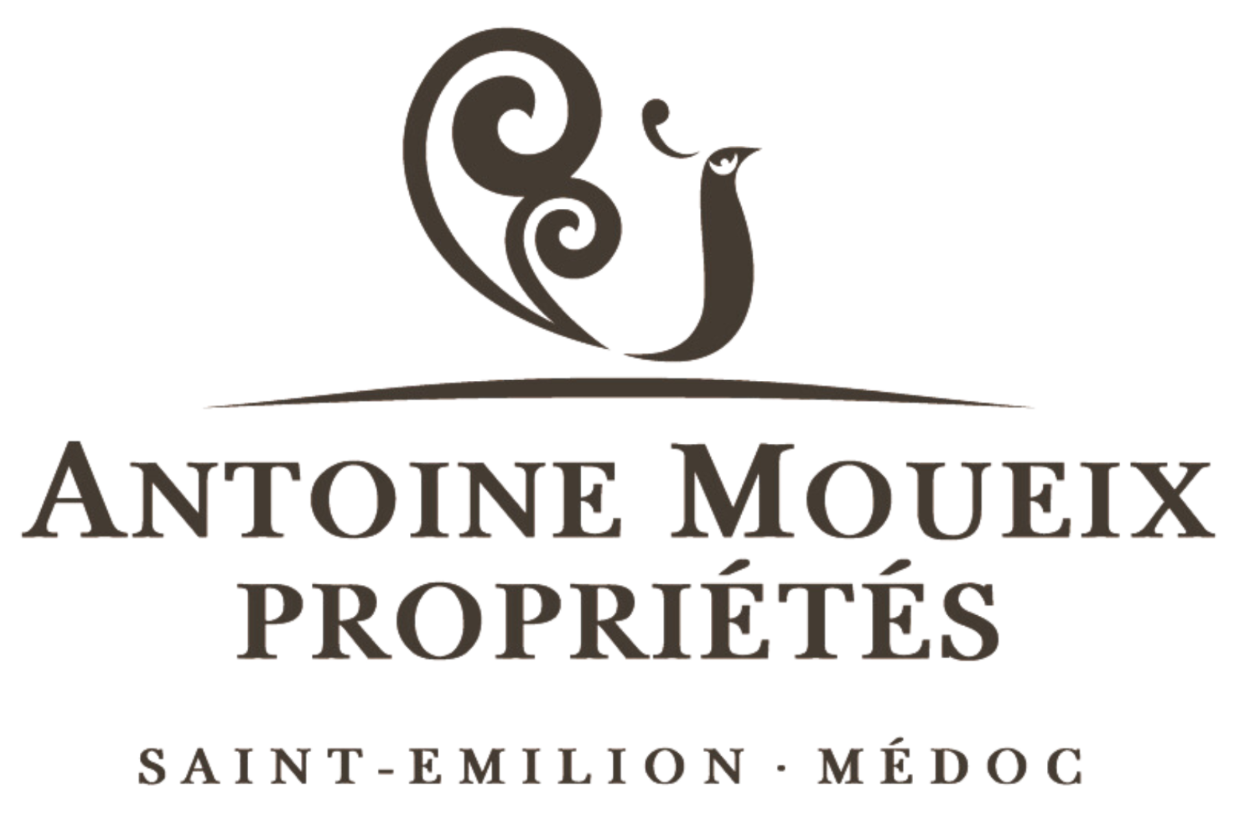 ANTOINE MOUEIX