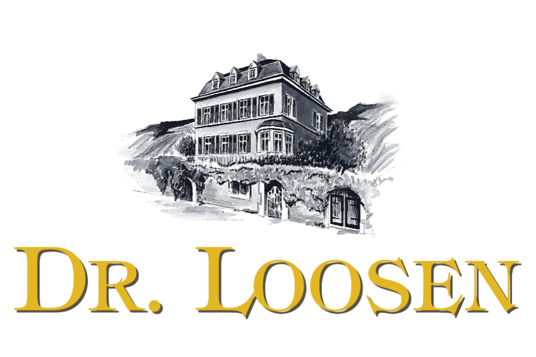 Dr. Loosen